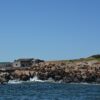 City Tour Punta del Este - Imagen 2