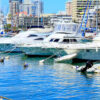 City Tour Punta del Este - Imagen 28