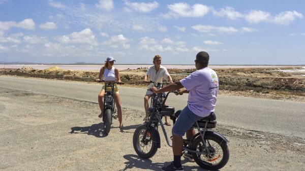 “Fatbike | Electric Bike Tour” with a local guide. - Imagen 4