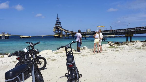 “Fatbike | Electric Bike Tour” with a local guide. - Imagen 3