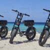 “Fatbike | Electric Bike Tour” with a local guide.