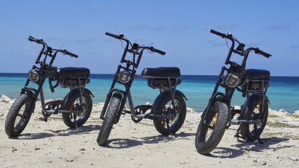 “Fatbike | Electric Bike Tour” with a local guide.