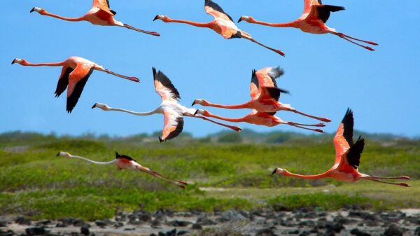 North & South Tour with Local Guide. - Imagen 2