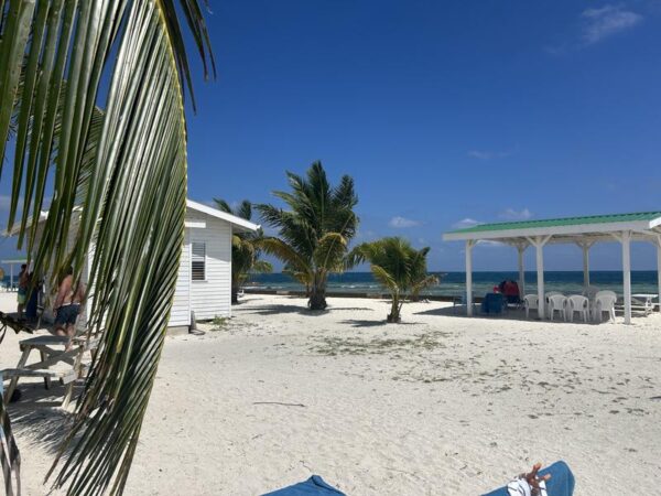 Belice Snorkeling & Nadar - Imagen 6