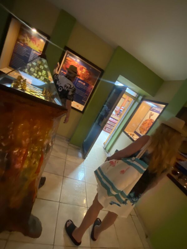City Tour Puerto Plata y Playas - Imagen 4