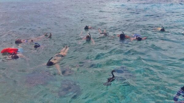 Belice Snorkeling & Nadar - Imagen 14