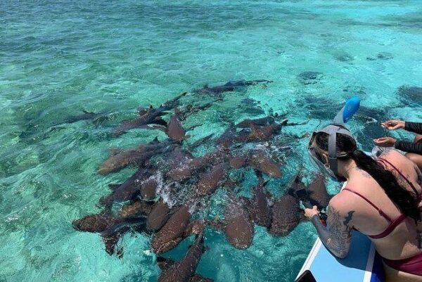 Belice Snorkeling & Nadar - Imagen 10