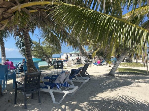 Belice Snorkeling & Nadar - Imagen 7