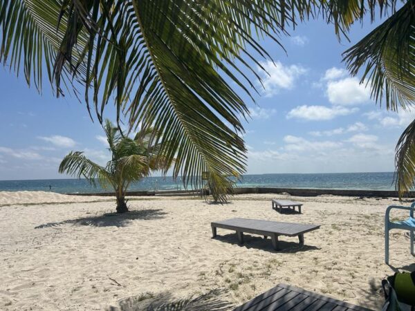Belice Snorkeling & Nadar - Imagen 5