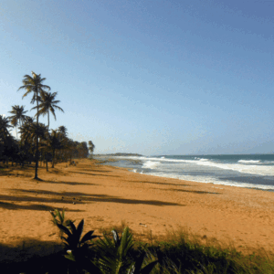 Puerto Rico El Yunque Highlights & East End Island Tour de 1 a 4 Pasajeros