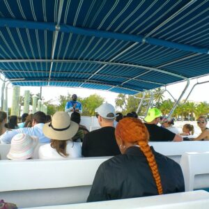 Excursión a la Isla Rose desde Nassau – snorkel, cerditos y playa paradisíaca