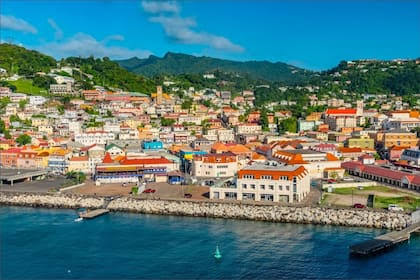 Dominica Island Tour Experience - Imagen 8